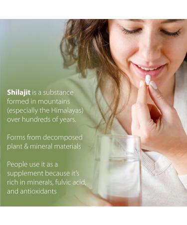 Shilajit Herbal Supplements Shilajit for Men Shilajit for Women Himalayan Shilajit Capsules Natural Shilajit 2 Pack 240 Count 25 Years of Premium Service - Buy Online on GoSupps.com
