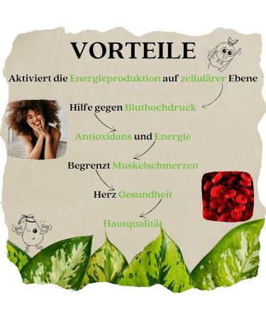 Coenzyme Q10 with Vitamin B1 | Ubiquinone Antioxidant & Energy Support | 100% Natural Vegetable Capsules | Eco-Friendly Recyclable Bottle - Buy Online on GoSupps.com