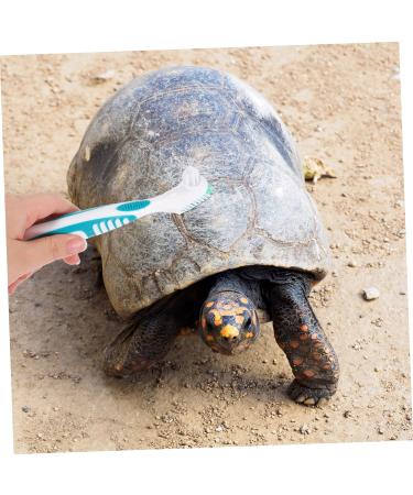 Ukcococo Turtle Cleaning Brush - Eco-Friendly Bristle Washer for Turtles | International Shipping Available - Buy Online on GoSupps.com