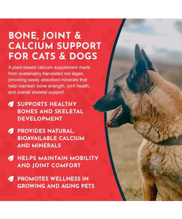 Animal Essentials Seaweed Calcium Supplement for Dogs & Cats 12 oz (2-Pack) Iceland Seaweed Magnesium Boron Zinc 12 Ounce (Pack of 2) - Buy Online on GoSupps.com