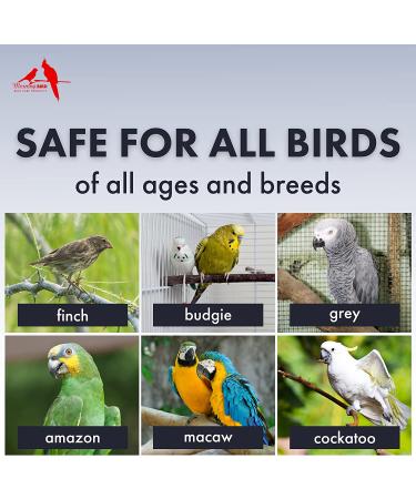 Morning Bird Avian Calming Formula - 1 oz - Non-Sedating Anxiety Relief for Nervous Birds - Buy Online on GoSupps.com