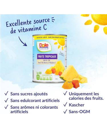 Dole Canned Fruit Tropical Fruit Salad in Water Non-GMO No Sugar Added & No Artificial Sweeteners 540 ml 12 Count Tropical Fruit Salad 540ml - Buy Online on GoSupps.com