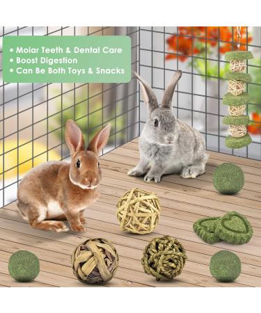 Erkoon Rabbit Chew Toys - 11-Piece Natural Apple Wood & Timothy Hay Set for Bunnies Chinchillas & Guinea Pigs - Dental Care & Fun! - Buy Online on GoSupps.com