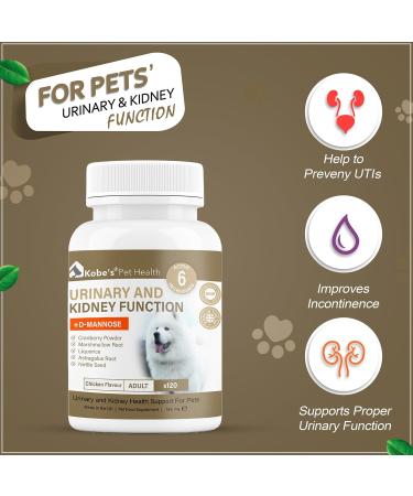 KOBE S Probiotics for Dogs | Digestive Enzyme | UTI Antibiotic | Boosts Immune System | Supports Overall Health | Dog Yeast & Diarrhea Treatment - Buy Online on GoSupps.com
