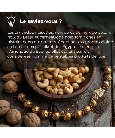 M lange de Fruits secs 1 Kg (Amandes Noisettes Noix de Cajou Noix de Pecan Noix du Br sil et Cerneaux de Noix ) sac refermabe - Buy Online on GoSupps.com