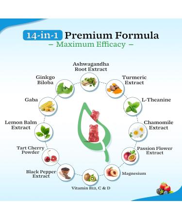 2 Pack Ashwagandha Gummies with Turmeric GABA Mood Energy and Immune Support Mixed Berry Flavor 120 Cts Mixed Berry 60 Count (Pack of 2) - Buy Online on GoSupps.com