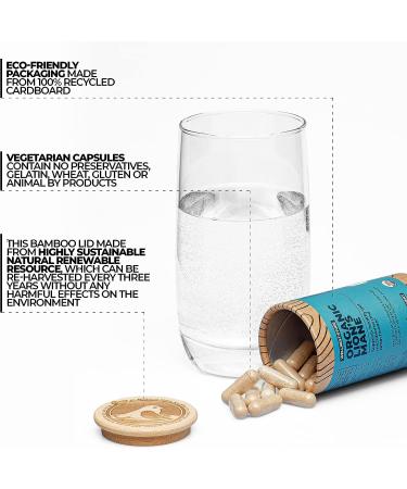 Lions Mane Mushroom Organic Supplement - 200 Veggie Caps for Immune Support & Cognitive Function | Wellnest.Store - Buy Online on GoSupps.com