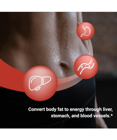 Naturalis New Zealand Fucoxanthin (4mg) | Made with FucoSlim | Non-GMO Soy & Gluten Free | 60 Softgels (2 Month Supply) - Buy Online on GoSupps.com