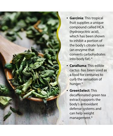 Irwin Naturals Triple-Diet Max Accelerator - 72 Liquid Soft-Gels for Effective Weight Management - Buy Online on GoSupps.com