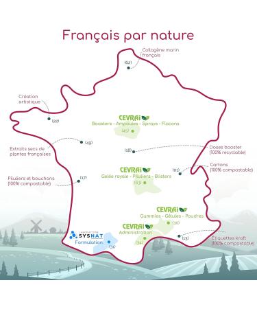 Biotin Gummies with 3600% of the Recommended Intakes Dietary supplement for Hair Nails Skin Zinc Vitamin C Cure 1 month 3 plants in France 30 years of expertise SYSNAT Laboratory - Buy Online on GoSupps.com