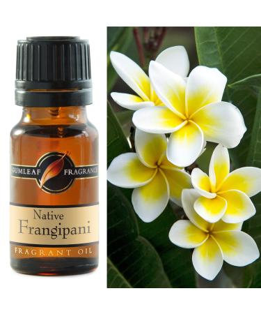 Gumleaf Fragrance Native Frangipani Fragrant Oil - 0.34fl oz Cruelty Free & Vegan Phthalate-Free Fragrance