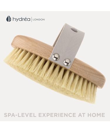 Hydr a London Professional Body Brush - Beech Wood & Cactus Bristles | FSC Certified | Eco-Friendly Travel Bag - Buy Online on GoSupps.com