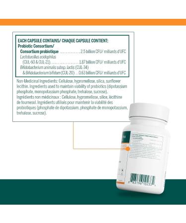 Genestra Brands HMF Capsules - 4 Strains Probiotics for Gut Health - Lactobacillus & Bifidobacterium Supplement - Non-GMO & Gluten Free - 60 Vegetarian Capsules - Buy Online on GoSupps.com