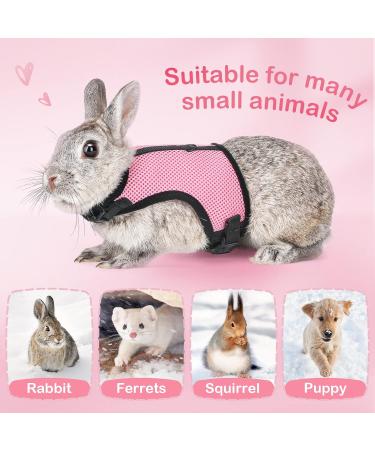 HAPPY HACHI Small Pet Harness & Lead Set - Adjustable Mesh Vest for Rabbits, Hamsters, Guinea Pigs, and Small Cats - S Pink - Buy Online on GoSupps.com