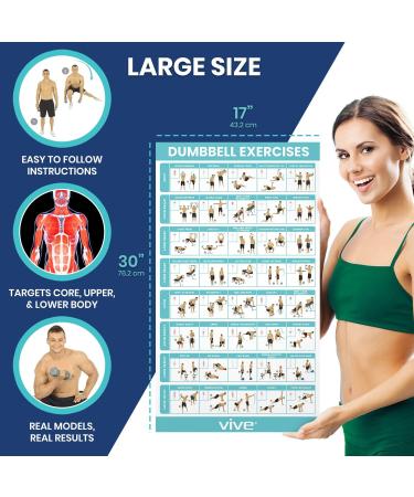 Vive Dumbbell Workout Poster - Home Gym Exercise Chart for Full Body - Laminated Bodyweight Guide for Strength Training - 30 x 17 - Perfect for Men, Women, Elderly - Buy Online on GoSupps.com