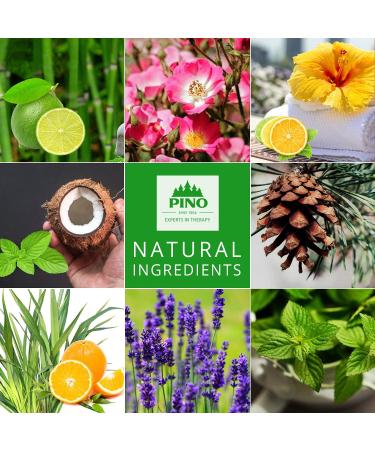 Buy 100% Natural Wildrose Pino Vegan Body Oil with Jojoba | Relaxing & Nourishing | Worldwide Shipping - Buy Online on GoSupps.com