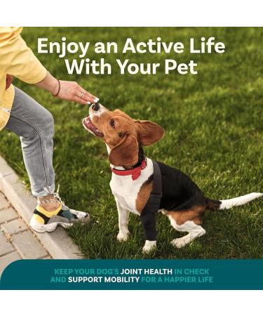 Pet Leg Comfort Support - Dog Back Limb Support Adjustable Canine Support Harness | Lightweight Protective Leg Brace Dogs with Joint Breathable Support Brace for Senior Dog Mobility - Buy Online on GoSupps.com