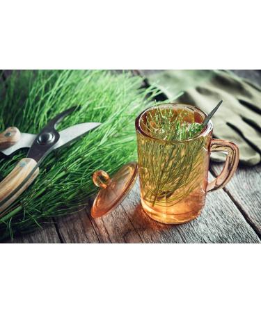  SIPF PROMINCIL 200 ml | Helps you lose weight naturally thanks to the combination of three plants: Fucus Meadowsweet and Horsetail | 100% Natural Formula | SYNERGIA Laboratory - Buy Online on GoSupps.com