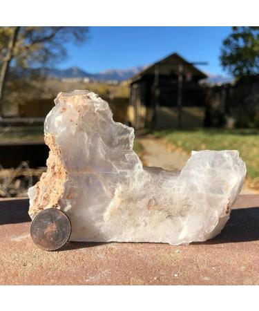 Natural Crystal Rough Decoration 155g Raw Natural Standing Selenite Piece Cut Slab Stone Specimen - Buy Online on GoSupps.com