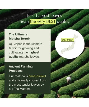 Encha Latte Grade Matcha Green Tea - First Harvest 30g/1.06oz Organic Powder from Uji, Japan for Matcha Latte & Smoothie | Caffeine-Rich, L-Theanine Infused, Sugar-Free - Buy Online on GoSupps.com