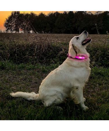 PCEOTLLAR Luminous Dog Collar - Adjustable LED Light & Reflective Neck Tape for Small Medium & Large Dogs - Pink (38-50cm) - Buy Online on GoSupps.com