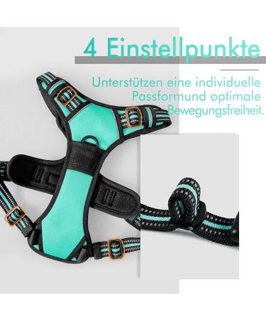 Rabbitgoo Medium Dog Harness - No Pull Adjustable Breathable Control Harness for Large Dogs - Reflex Stripes Safe Guide in Mint Green (1 Pack) - Buy Online on GoSupps.com