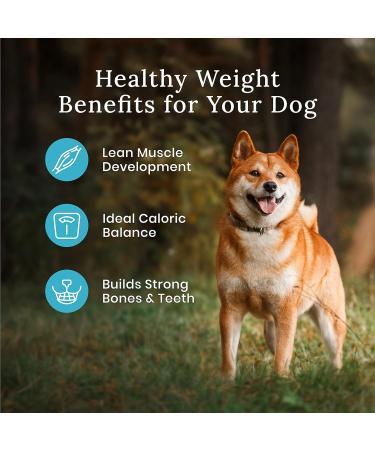 Blue Buffalo Wilderness More Meat & Wholesome Grains Natural Dry Dog Food Healthy Weight Chicken 24lb Healthy Weight More Meat Wholesome Grains - Buy Online on GoSupps.com