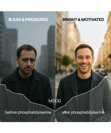 Brain Supplements for Memory and Focus Phosphatidylserine Supplement 600MG & L-Carnosine Brain Food & Energy Booster for Women Men Derived from Sunflower Lecithin 60 Phosphatidyl Serine Pills - Buy Online on GoSupps.com