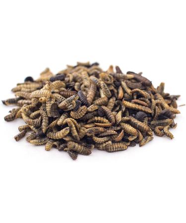 Culinary Coop All-Natural Soldierworm Chicken Treats - 16oz - Buy Online on GoSupps.com