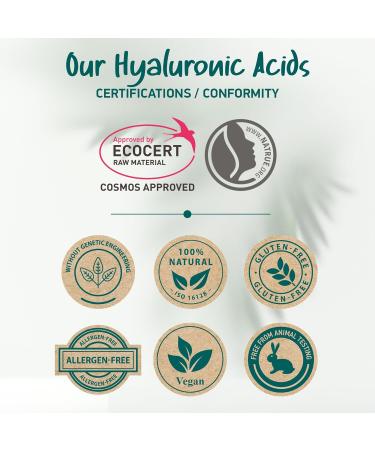 Organic Hyaluronic Acid Serum for Face | Best Hyaluronic Acid (Oligo) + 4 Hyaluronic Sizes - Highly Dosed | Hydrating Serum - Aging-Aging Moisturizer Fragrance-Free | Made in Germany 1.7 Fl Oz (Pack of 1) - Buy Online on GoSupps.com