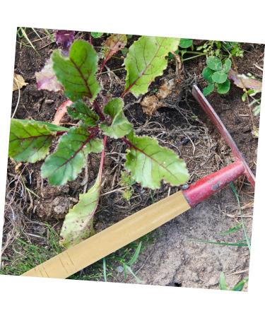 Buy OHPHCALL 5ST Wooden Handle for Agricultural Tools | High-Performance Beech Garden Tools | International Shipping Available - Buy Online on GoSupps.com