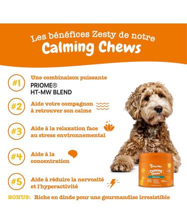 Zesty Paws Calming - Soothing - Dog Supplement in Treat Form - Anti Stress Dog - Calming for Dogs - Hyperactivity - Ashwagandha Green Tea and L-Tryptophan - 90 Units - Buy Online on GoSupps.com