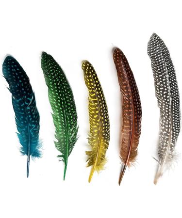 HAPPY FEATHER 6-9 inch Natural Guinea Wing Plumage Feather Pack of 20 - Multi Color DIY Craft Supply - Buy Online on GoSupps.com