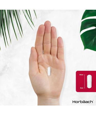 D-Mannose and Cranberry Capsules 1536mg | UTI Relief + Vitamin C | 120 Vegan Capsules | No Preservatives - Horbaach - Buy Online on GoSupps.com