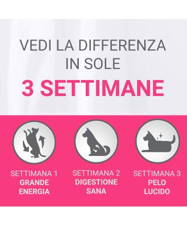 Purina ONE Medium/Maxi 10 kg Dog Food 4 Bags of 2.5 kg each - Buy Online on GoSupps.com