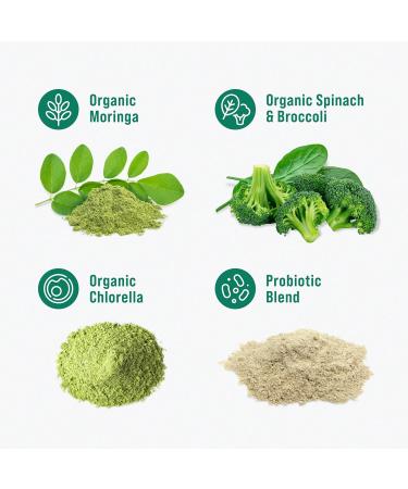 Nello Supergreens Premium Superfood Greens Drink Mix w/Chlorella Moringa Spinach & Broccoli + Digestive Enzymes & Probiotic Blend -Nutrient-Packed Powder Wellness (Mango Peach 20 SRV Travel Pack) Mango Peach 20 Servings  - Buy Online on GoSupps.com