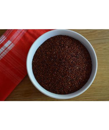  TASTY POTT Tasty Pott Red organic quinoa I Economy pack I Vegan nutrition I Pseudo-cereals I Salad filling I Cooking & Cooking I Cereal grains I In a bag 2000g - Buy Online on GoSupps.com