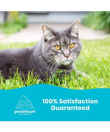 Omega 3 Fish Oil for Cats & Small Dogs | Premium Quality Pet Supplement - 2oz - Buy Online on GoSupps.com