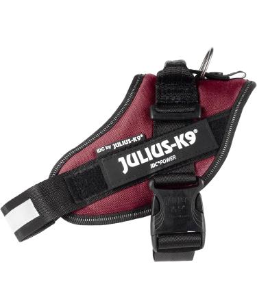 Shop IDC Powerharness M/0 - Bordeaux | Premium Dog Harness for Ultimate Comfort | International Shipping Available - Buy Online on GoSupps.com