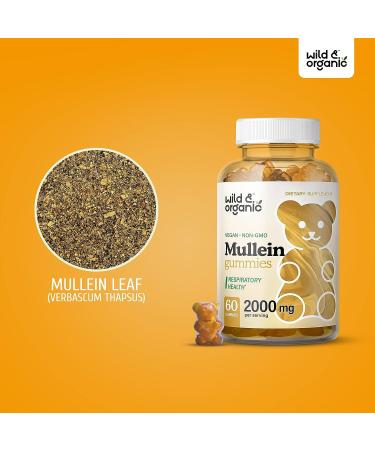Organic Mullein Gummies - Respiratory & Digestive Support - 2000mg 60 Chews - Buy Online on GoSupps.com
