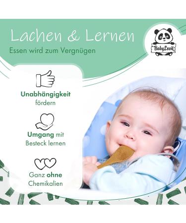 Babylovit Baby Dishes with Suction Cup - Stress-Free Bamboo Plates & Bowl for Kids | Perfect Dining Phase Accessories - Buy Online on GoSupps.com