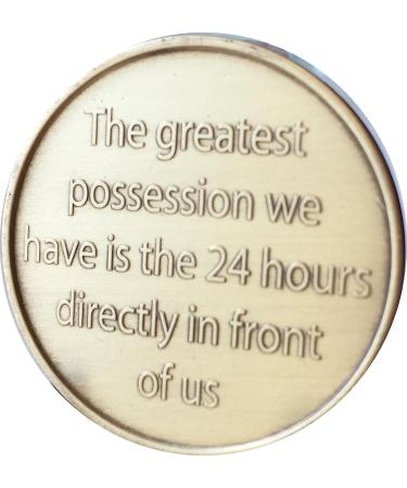 Camel One Day at A Time Bronze AA Medallion - Sobriety Affirmation Coin - Buy Online on GoSupps.com