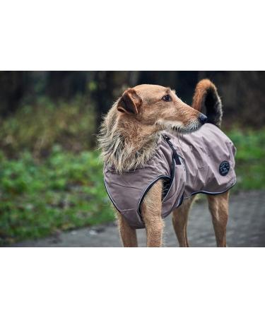 HUNTER UPPSALA Dog Coat - Water-Repellent & Reflective Taupe 40 | International Shipping Available - Buy Online on GoSupps.com
