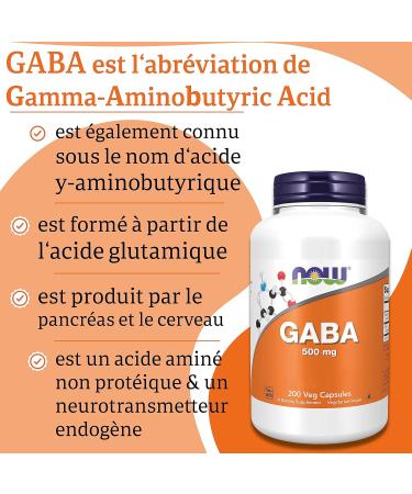 Now Foods GABA (Gamma-Aminobutyric Acid) Vitamin B6 High Dosed 500 mg 200 Vegetable Capsules Laboratory Tested Soy Free Gluten Free Vegetarian - Buy Online on GoSupps.com
