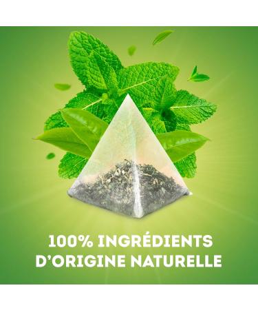 Lipton Tcha Green Tea Cold or Hot Infusion Mint Flavor Freshness 100% Natural Ingredients 20 Sachets P - Buy Online on GoSupps.com