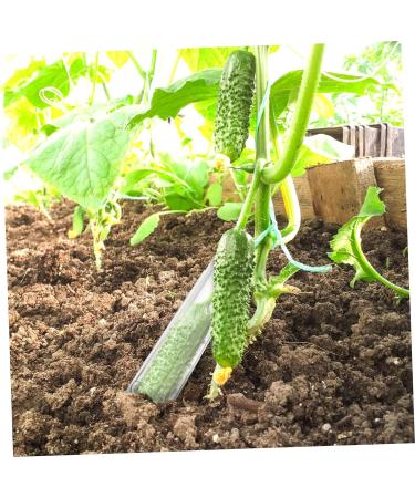 INOOMP 4pcs Shaped Growth Mold Cucumber Shaper Fruit Cucumber Shaping Molds Cucumber Growth Molds Cookie Molds Heart Chocolate Mold Cucumber Mold Plastic Container Watermelon As Shown medium - Buy Online on GoSupps.com