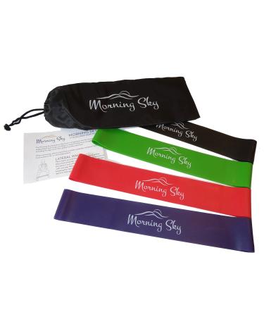 Physical Therapy Resistance Bands by Morning Sky - 12-inch Loop Bands with Instructional Guide and Carrying Bag Best for Strengthening Stretching Yoga Physical Therapy Rehab Home Fitness