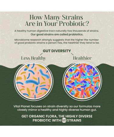 Vital Planet - Organic Flora Probiotics for Gut Balance Shelf Stable Probiotic 30 Billion CFU 60 Diverse Strains Prebiotic Organic Mushroom Blend for Immune Support and Digestive Health 30 Capsules - Buy Online on GoSupps.com