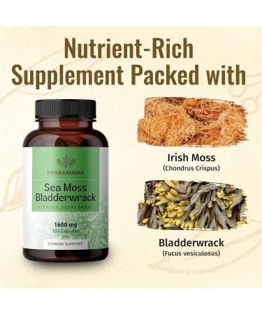 HERBAMAMA Sea Moss Capsules - Organic Irish Sea Moss Bladderwrack Supplement - 100 Vegetarian Capsules for Immunity, Thyroid, Digestive Health & Joint Support - Non-GMO Superfood (1 Pack) - Buy Online on GoSupps.com