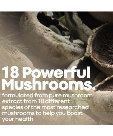 Herbtonics All-in-One Mushroom Supplement for Immune System Support | Nootropic Brain Support Supplement with Lion's Mane Cordyceps Reishi | Powerful Mushroom Complex | 120 Vegan Capsules - Buy Online on GoSupps.com
